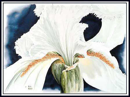 Iris giclee(54k)