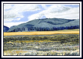 Great Meadow II