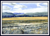 Great Meadow III