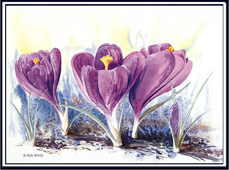 Crocuses giclee (63k)