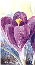 Crocuses (detail view)  The snow has just melted and the crocuses spirits seem to be lifted up in celebration. This work was printed in Distinction Magazine in 1997.